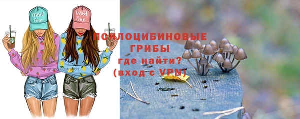индика Беломорск