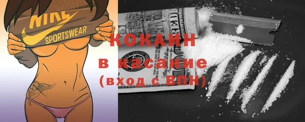 индика Беломорск