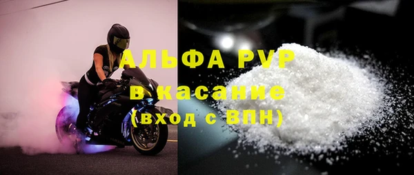 сатива Нягань