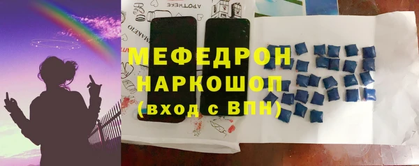 индика Беломорск