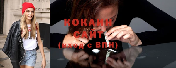 индика Беломорск