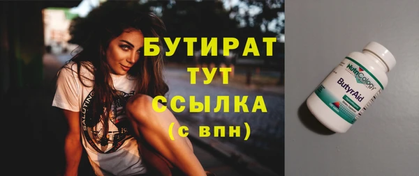 гашик Няндома