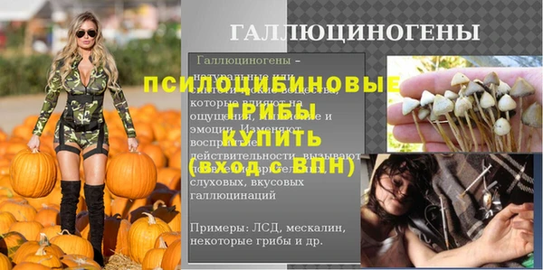 индика Беломорск