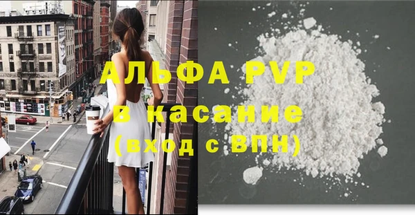 индика Беломорск