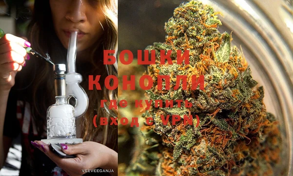 индика Беломорск