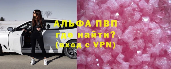 индика Беломорск