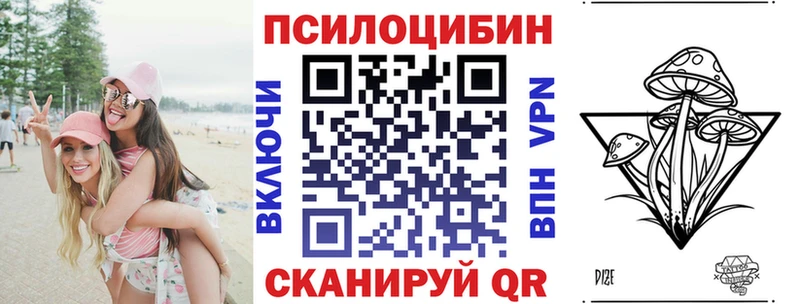 где купить наркотик  Судогда  мориарти формула  Галлюциногенные грибы мухоморы 