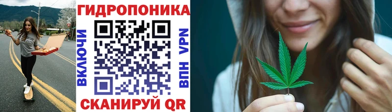 Бошки Шишки индика  закладки  Судогда 